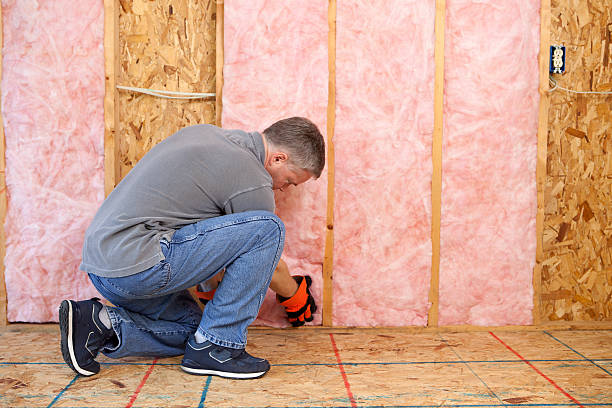 Best Insulation Installation Services in Bonduel, WI
